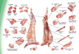 Lamb Chart Mutton Cuts Veal Primal Cuts Moon 123vielgeld De