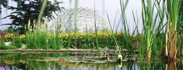 Im botanischen garten gibt es 6000 pflanzenarten. Botanischer Garten Dusseldorf Nrwhits