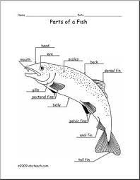 For the tail, draw a big triangle. Animal Diagram Fish Labeled And Unlabeled Abcteach