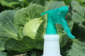 But managing insects typically calls for liquids, gels, fogs, or sprays — treatments that depend on. Organic Pest Control Spray For Gardens