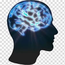 Human Brain Illustration Eidetic Memory Recall Information Visual Memory Mind Transparent Background Png Clip Brain Illustration Memory Illustration Clip Art