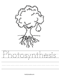 Worksheets are photosynthesis diagrams work, name date period photosynthesis makin. Photosynthesis Worksheet Twisty Noodle
