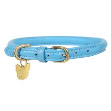 digby and fox rolled leather dog collar blue