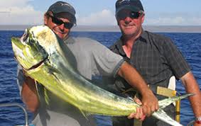 Mahi Mahi Fishing Charters Sport Fishing Bottom Fishing