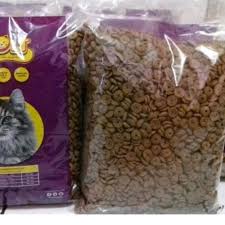 We did not find results for: Review Makanan Kucing Bolt Apa Saja Kelebihan Kekuranganya Myhewan