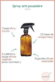 Produits D Entretien Pour La Maison 10 Recettes Naturelles Pour Debutants Produit De Nettoyage Faits Maison Produits De Nettoyage Naturels Nettoyer Vitres