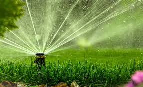 Maybe you would like to learn more about one of these? How Often Should You Water Your Lawn In Summer Mansell Landscape