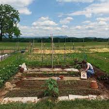 What is a community garden definition. Community Gardening Wikiwand