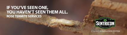 Seeing termites in the yard or worse yet, termite tubes on the home? Termite Control Sentricon System