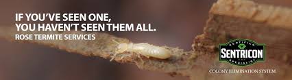 When it comes to pest control, who is financially responsible? Termite Control Sentricon System