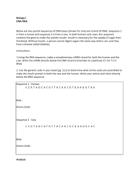 Mutations mutations are changes in dna. What Are Dna Sequences Instructions For