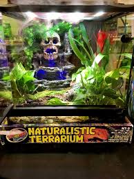 Diy This Naturalistic Terrarium With Our Led Small Skull Waterfall Natural Bush Plants Malaysian Fern Frog Moss And Frog Terrarium Terrarium Gecko Terrarium