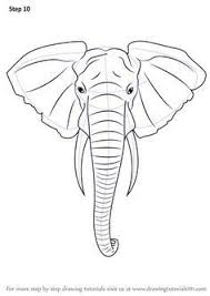 Check spelling or type a new query. Step By Step How To Draw An Elephant Head Elephant Drawing Elephant Painting Animal Drawings