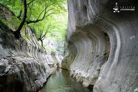 Inconjurata de parcul natural domogled, traseele turistice reprezinta punctele de interes din acest parc. Pin Auf Romania