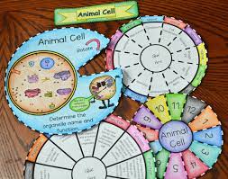 Plant cell labeled with the following: Animal Cell Foldable