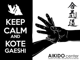 Www Aikidocenter Gr Keep Calm And Kotegaeshi Aikido Martial Arts Sparring Martial Arts Techniques Aikido Martial Arts