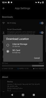 Activate the point videos on sd card download. How To Transfer Downloaded Netflix Content To An Sd Memory Card On Android