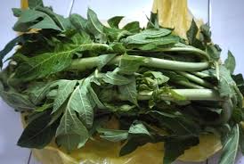 Semurah rm 50 sahaja (100 kapsul). Khasiat Air Rebusan Daun Betik Untuk Kurangkan Darah Tinggi