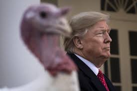 We did not find results for: Donald Trump Is Now Saying That Democrats Want To Change The Name Thanksgiving