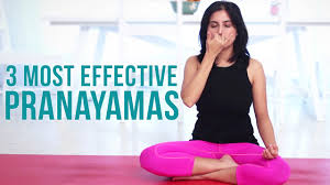 People suffering from heart diseases, high blood pressure, low blood pressure, or hernia are not allowed to do types of pranayama like kapalbhati, bhastrika, agnisar, and shitkari. 3 Most Effective Pranayamas Deep Breathing Exercises Youtube