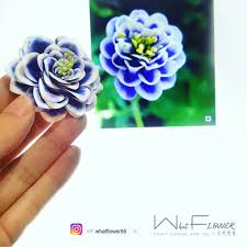 instagram 上的what flovver 花想蓉集 紙花藝 為了暈出心目中花的顏色 顏色越買越多 錢越灑越多 花舘1號 kikihi360 花舘2號 whatflower55 paperflower 紙花