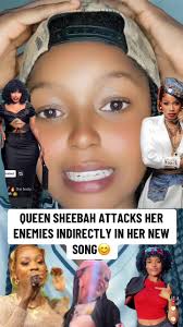 Queen Sheebah’s New Song: Indirect Attacks