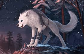 Browse millions of popular black wallpapers and ringtones on zedge and personalize your phone to suit you. Black Anime Wolf Wallpapers 4k Hd Black Anime Wolf Backgrounds On Wallpaperbat