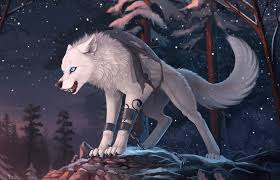 Check out this fantastic collection of anime wolf wallpapers, with 56 anime wolf background images for your desktop, phone or tablet. Black Anime Wolf Wallpapers 4k Hd Black Anime Wolf Backgrounds On Wallpaperbat