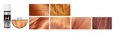 Hazel Hair Fibers Color 6 6 6 53