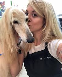 Flawless Grooming School & Pet Salon mobile grooming