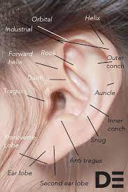 From All The Different Types Of Ear Piercings We Re Talking Tragus Helix And Daith Your Need To Piercings Unique Types Of Ear Piercings Ear Piercing Names
