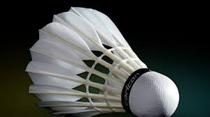 Dec 10, 2007 · für die probleme auf oder mit kleineren booten und deren zubehör! Badminton Balle Ubersicht Und Beratung Badminton Blog