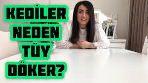 Kediler Kac Gun Yalniz Kalabilir Kedimi Evde Yalniz Birakirken Neler Yapmaliyim Youtube