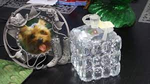 If your pet was close to the heart, you may want to keep them close to your heart even after they die. Woman Heartbroken After Dog S Ashes Disappear Youtube