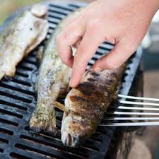 We did not find results for: How To Cook Kokanee Kokanee Recipes Hunter Angler Gardener Cook Grilled Trout Grilled Trout Recipes Cooking Trout