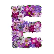 Browse alphabet letter e images and find your perfect picture. Blumen Alphabet Buchstabe E Stock Photo 8693578 Bildagentur Panthermedia