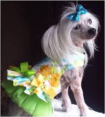 Couture Water Colors Dog Harness Dress Shop By Designer Roxy Lulu Posh Puppy Boutique