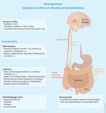 Erfahren sie hier die hintergrunde zu blut im. 100 Billionen Kleine Helfer