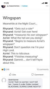 Wingspan Sarah J Maas Books Acotar Funny Book Memes