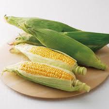 farmers market おしゃれまとめの人気アイデア pinterest tonya mcwilliams 野菜 果物 野菜 高島屋