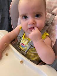 Cheap easy toddler approved camping meals?