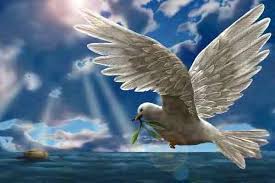 The Dove Flying To Noah S Ark Holy Spirit Dove Holy Spirit Mother S Day In Heaven