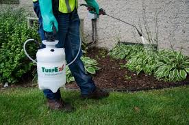 Company profile it is our privilege to introduce ourselves as cng fumigation & services engaged in a diversified range of activities inclusive of termite, pest and rodent control services by highly motivated, experienced, hardworking and qualified executives and entomologists. Boma Safi Enterprise