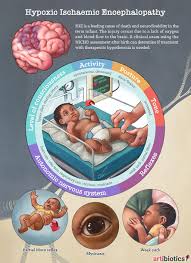 Pin On Medical Science Illustrated