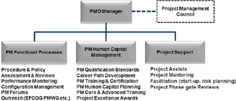 starting up an enterprise wide pmo