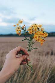 Can you put purple flowers on a christmas tree? Hand Holding Flowers Flower Aesthetic Flowers Photography Aesthetic Flowers