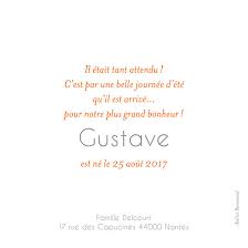Ce n'est pas toujours le cas. Faire Part De Naissance Polaroid Mini Format Rosemood