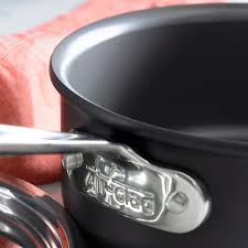 All Clad Ns1 Nonstick Induction Stock Pot Williams Sonoma