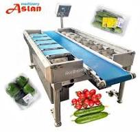 Vegetable Fruit Sorting Machine Potato Tomato Garlic Chili Pepper Onion  Carrot Cucumber Mushroom Grading Machine