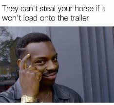 Image result for howrse fun page pics